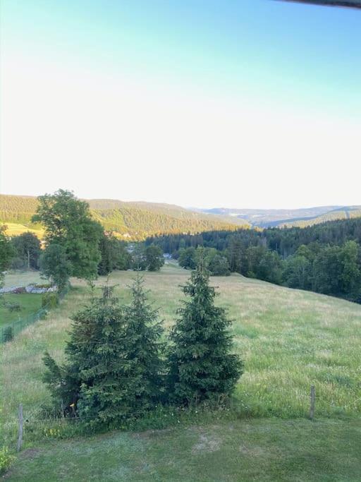 Appartement Lumineux Avec Vue Sur Les Montagnes Morbier Zewnętrze zdjęcie