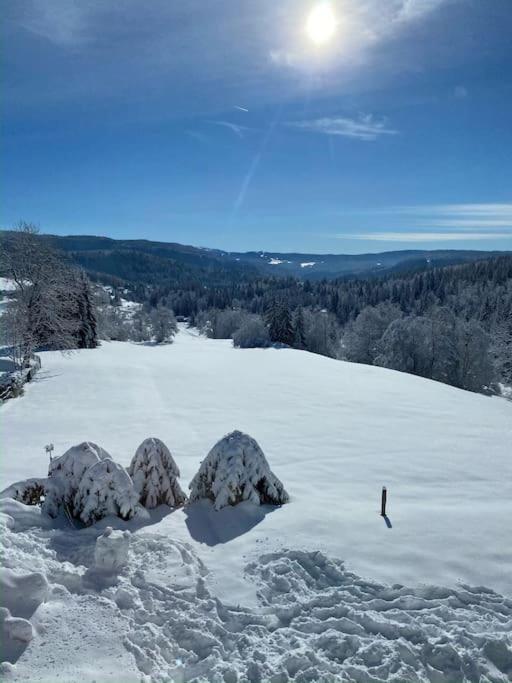 Appartement Lumineux Avec Vue Sur Les Montagnes Morbier Zewnętrze zdjęcie